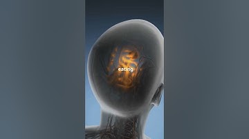 Why Do We Forget Things? The Science of Memory Explained! #facts #sciencefacts #shorts