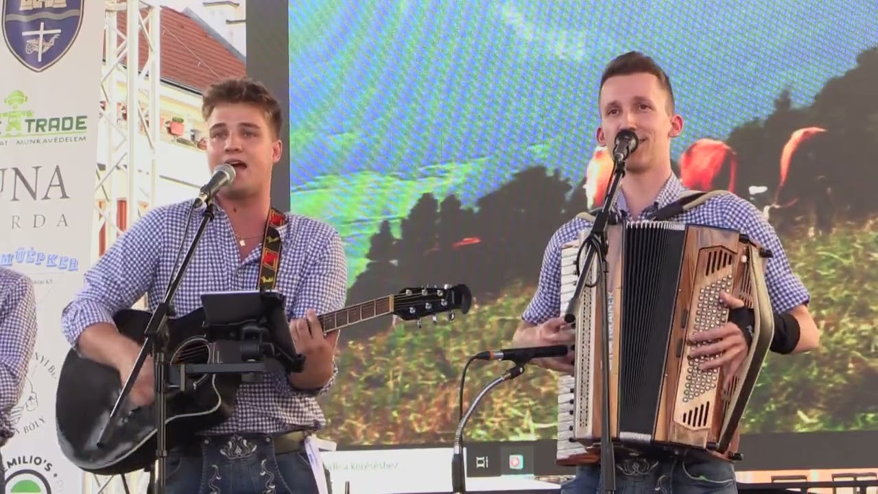 DonauKrainer Band - 7. Dunamenti Halfesztivál - Mohács - 2025