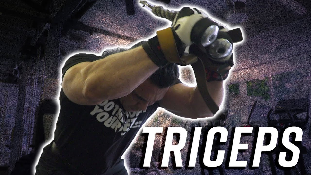 How to Build Massive Triceps With Rory Leidelmeyer - YouTube