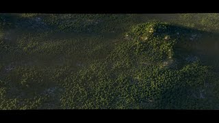 Simple Large scale Environment in blender