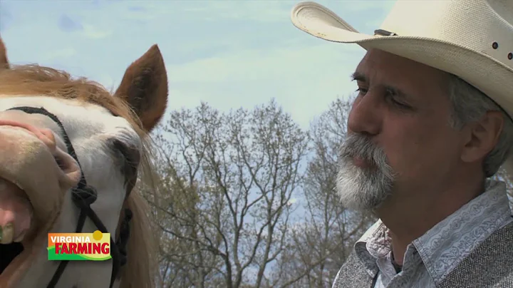 Virginia Farming: Tom Moates  Equine author