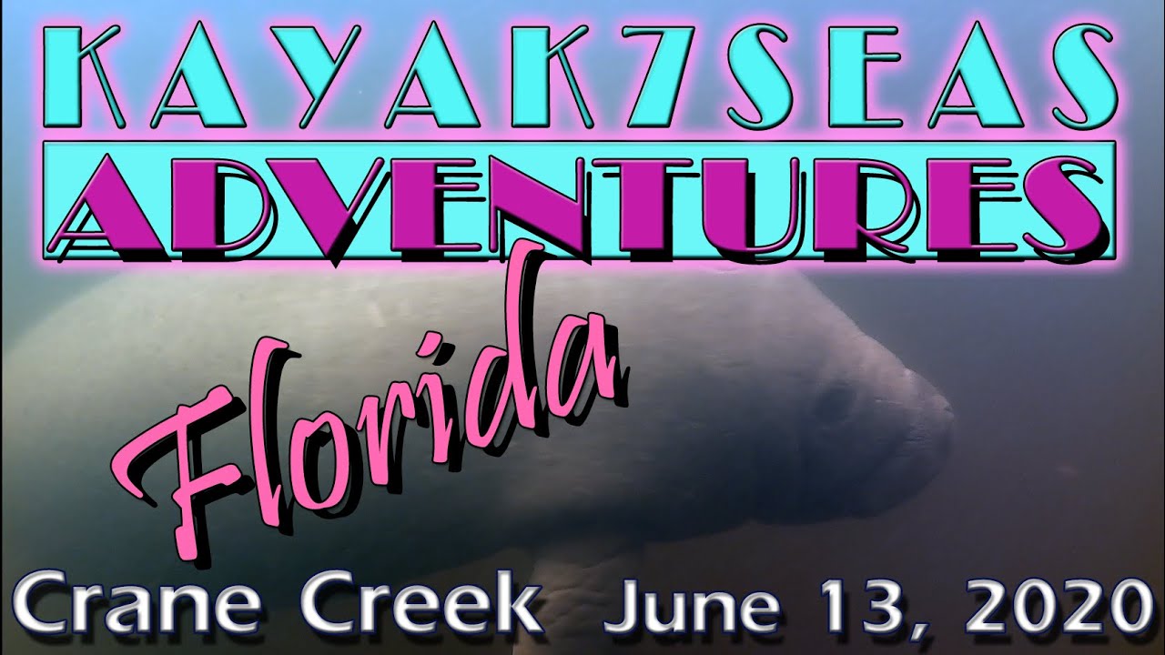 Summer SeaEsta Crane Creek Melbourne, Florida We found a Baby