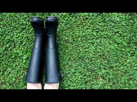 Video: Deadnettle Lawn Alternative - Aflați despre utilizarea Deadnettle în peluze