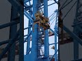 #ports #container #containership #terminal #vessel #sts #crane #ship #trading #viral #zpmc #rtg