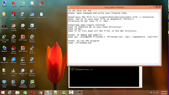 How to run a program in cygwin.