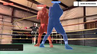 Martial Arts Vision