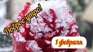 Доброе Утро 1 Февраля! 🍰🌨️ Красивая Открытка С Добрым Утром! 💖 Пожелания Доброго Утра