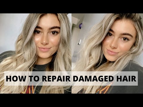 HOW TO REPAIR DAMAGED HAIR