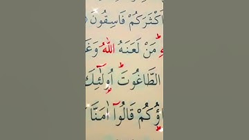سورة المائدة الأية 60 القارئ سعد الغامدي