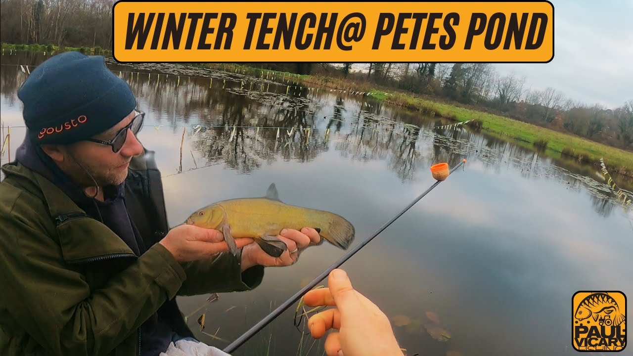 How to catch Tench on the pole #pole fishing #Tench fishing 