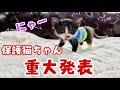 【保護猫】重大発表と手賀沼キッチンカーリベンジ　ゴールデンレトリバー