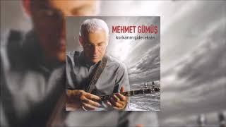 Mehmet Gümüş - Buğday Tanesi Resimi