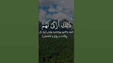 سورة النور الآية «٣٠»