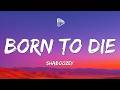Shaboozey Born To Die Lyrics 