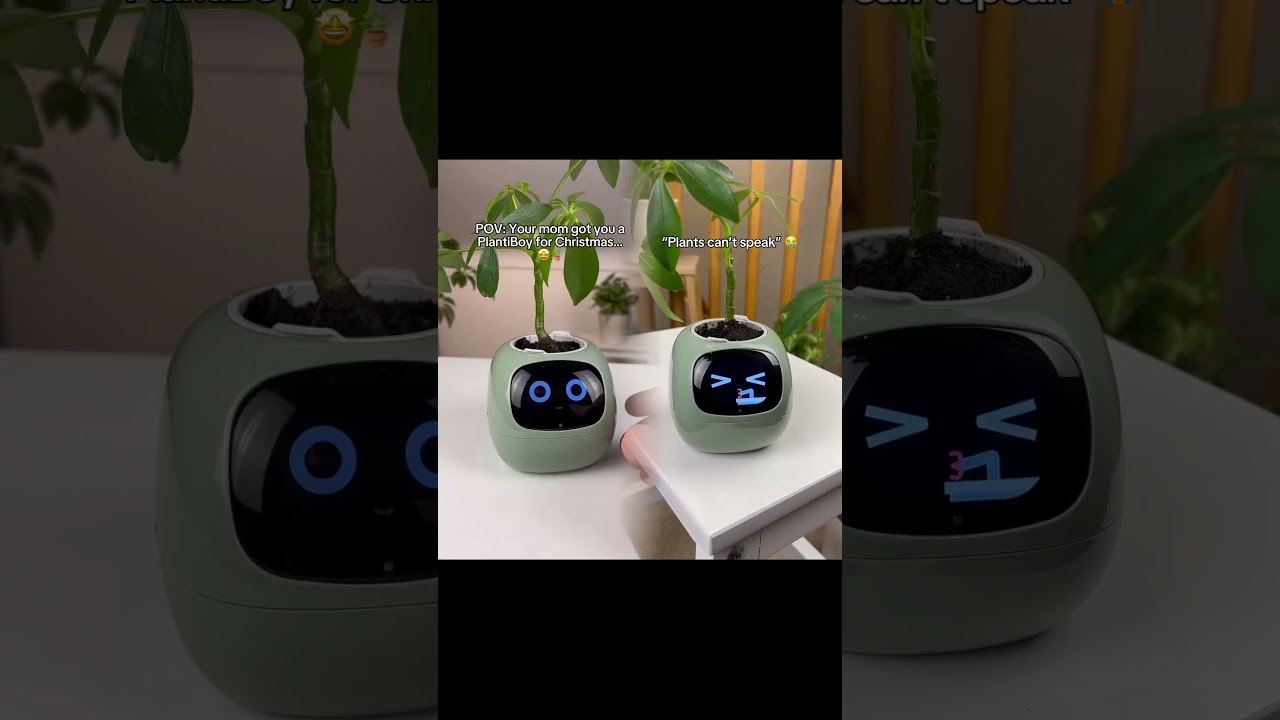 690539645888368640 rendered