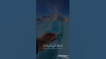 #القرآن_الكريم #استمعوا_وانصتوا_لعلكم_ترحمون #تلاوة_خاشعة 🫀🌸