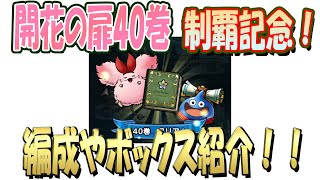 【ドラクエタクト】開花の扉全制覇！編成紹介！概要欄開きながら見てね！
