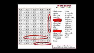 CC7551 Circulatory, Digestive & Reproductive Systems: Word Search App screenshot 4