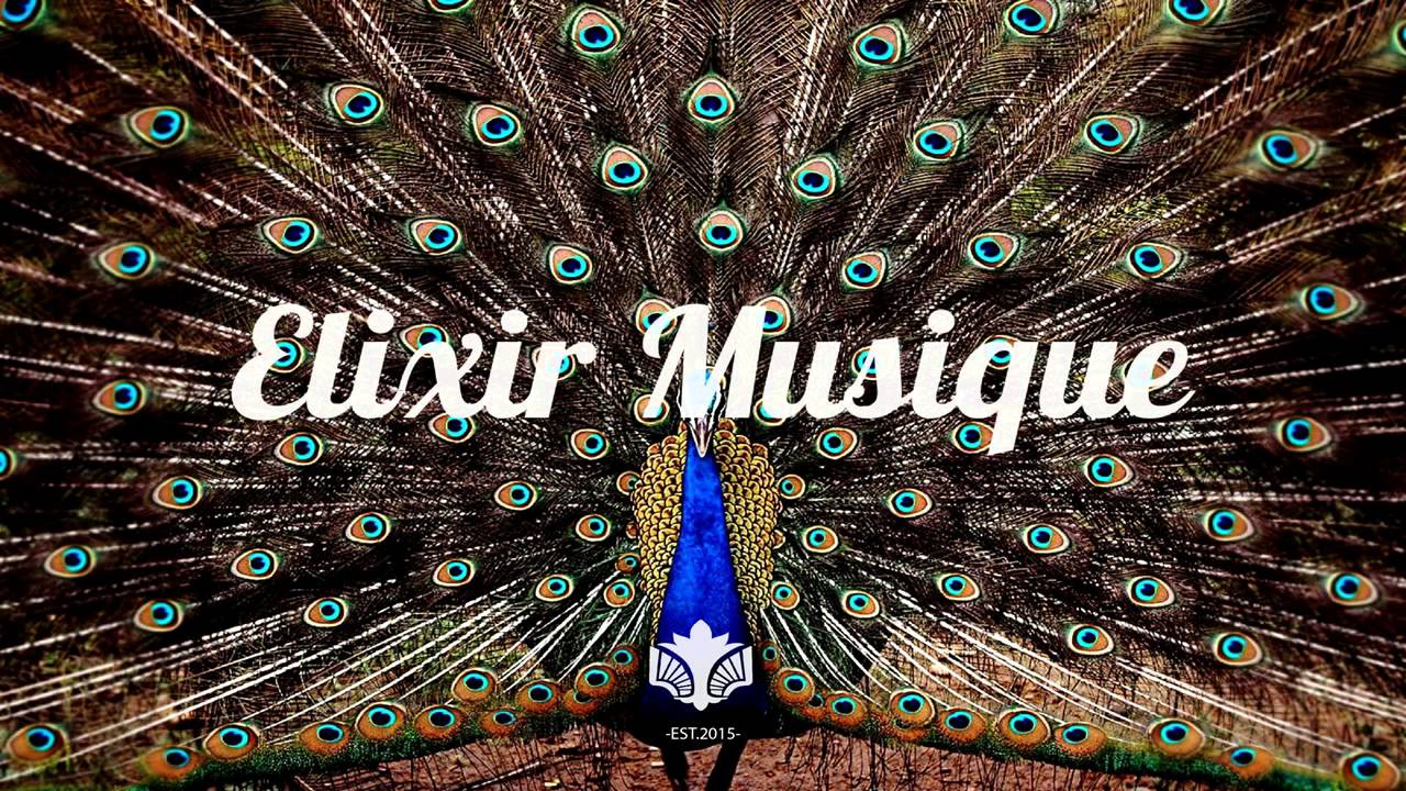 Paul Kalkbrenner Feed Your Head Original Mix YouTube