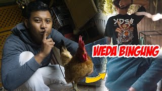 Download Lagu PRANK WEDA!!! CURI JOHN CENA MP3