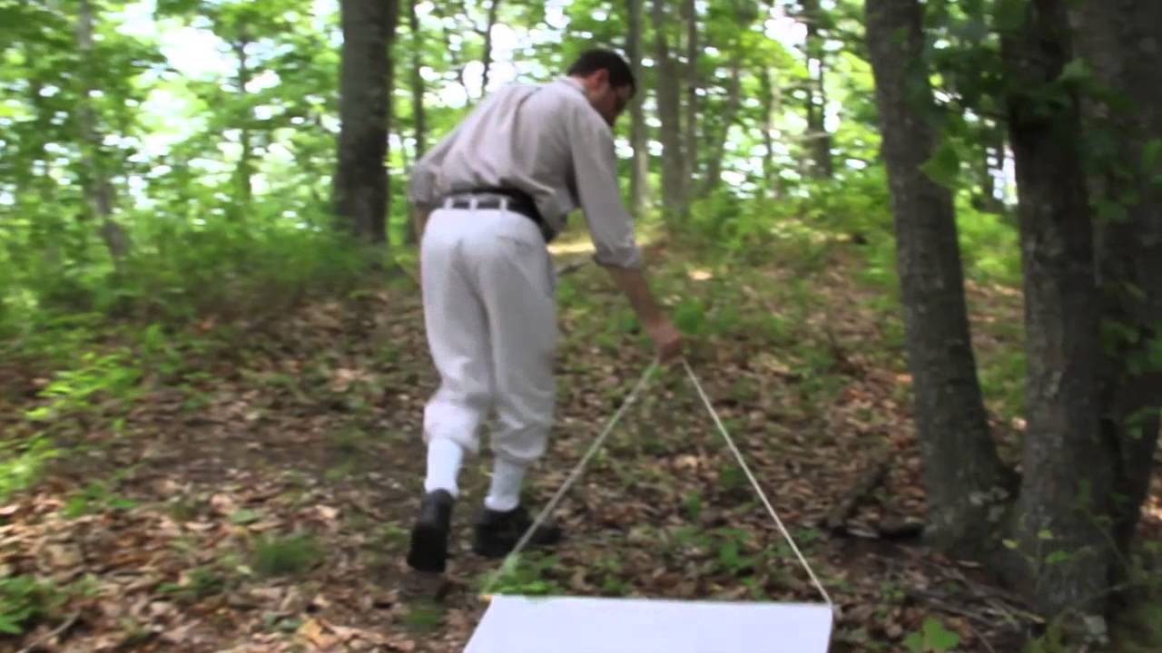 What You Need to Know about Ticks in Ohio