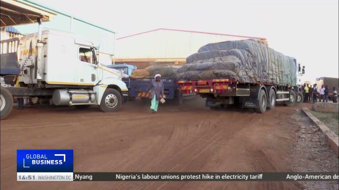 Malawi’s soya industry gains access to Chinese market
