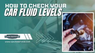 How To Check Your Car Fluid Levels | Simple Car Maintenance Guide #automobile #garage #mechanic
