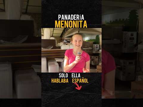 panadería MENONITA solo