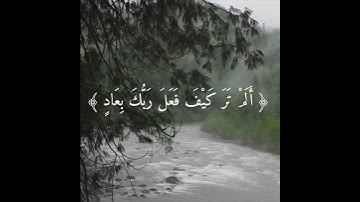 سوره الفجر : #هزاع_البلوشي : #قران_كريم #ارح_قلبك #قرآن #ايات_قرانيه_قصيره