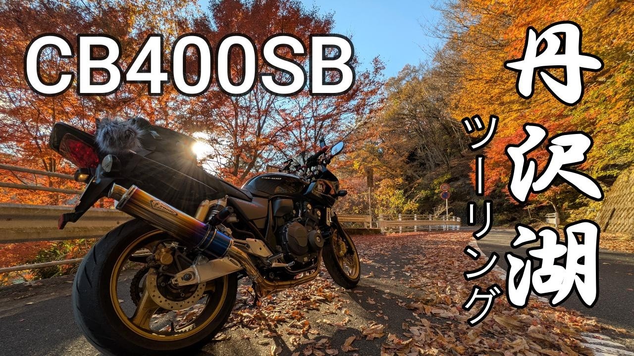 【CB400SB】丹沢湖へ　紅葉ツーリング　もみじが綺麗だった！