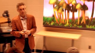 How Psychedelics are Still a Mystery - Prof. Jordan Peterson