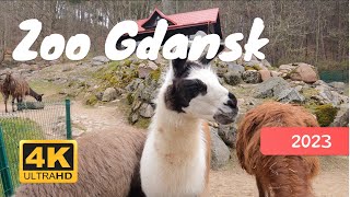 Gdansk Zoo, Poland 🇵🇱 4K