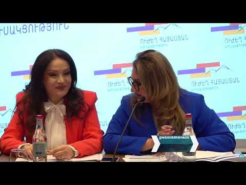 Միլիարդավոր դրամներ են տրամադրվել «Մերիդիան»-ին. Հասմիկ Ենգոյան