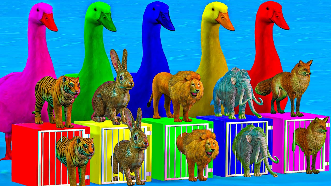5 Giant Ducks & Wild Animals Lion Mammoth Rabbit Tiger Fox Guess The ...