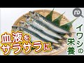イワシの栄養で血液をサラサラに！ＤＨＡとＥＰＡの違いも解説！　N.D.Kitchen Wellness