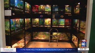 Cabot man steals python from pet store