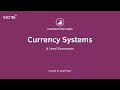 Currency systems i a level and ib economics