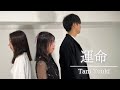 運命/ Tani Yuuki【男女で歌ってみた】covered byうたむすび
