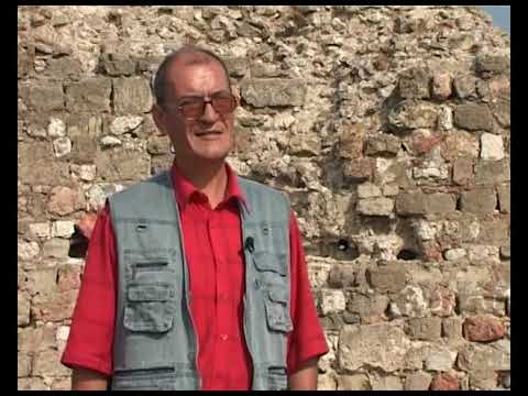 Video: Istoricul Stocului