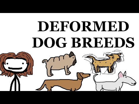 Dog Breed Deformities