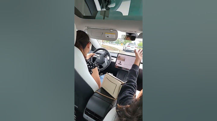 Test Drive Tesla Model 3 Performance: An Exhilarating Experience Like Driving a Go Kart