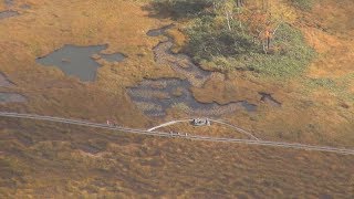 尾瀬で一足早い秋の訪れ 黄金色に染まる湿原