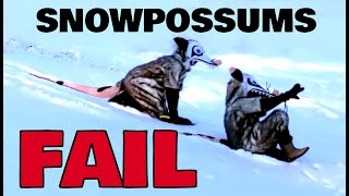 Furry Opossums FAIL at Sledding