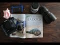 Magazine shoot - When the best gear isn't the best choice