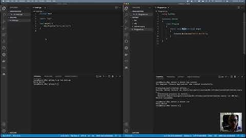 01 Golang for C# Developers - Introduction
