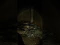 Reaident Evil Requiem #requiem #residentevil #gameplay #leon #grace