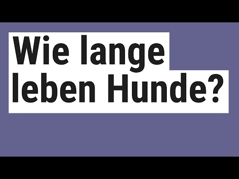 Video: Wie lange leben Hunde?