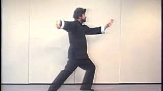 Section 1 -37 Move Yang Tai Chi by Professor L. Galante