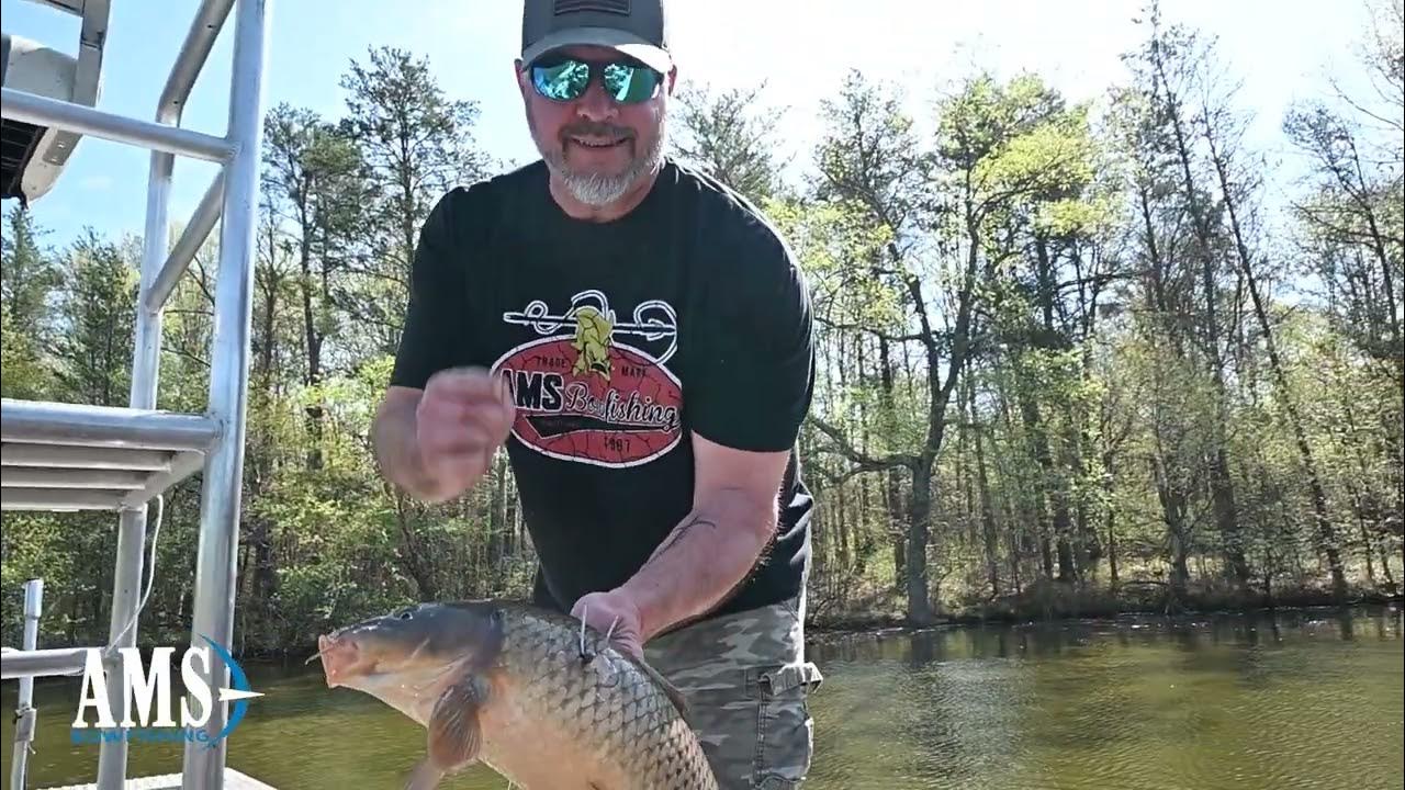 AMS Chaos XL Bowfishing Point in Action 