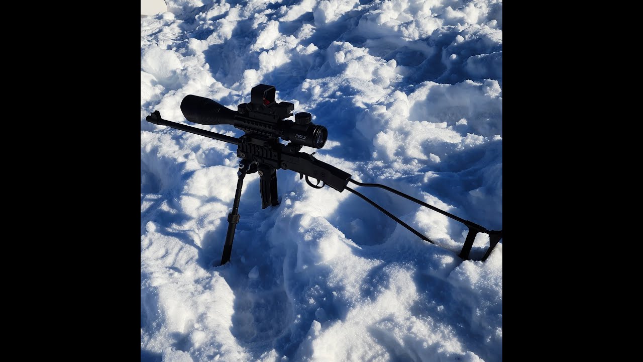 Assault style Chiappa little badger review 